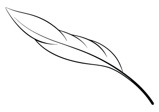 Continuous Line Art of a Floating Feather – Elegant Minimalist Vector