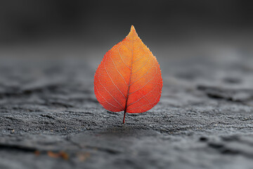 Wall Mural - A solitary leaf falling from a tree, representing change and the passage of time. Concept of minimalism.