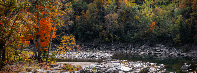 Wall Mural - panoramic view of colorful trees by the river in vermont countryside .