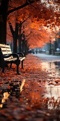 Canvas Print - Autumn leaves on a park bench