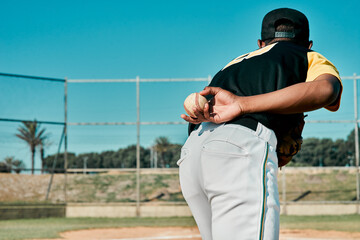 Canvas Print - Back, baseball and pitcher with ball for game, exercise or competition practice on field. Softball player, boy and teen athlete training for sports, fitness and ready to throw for workout outdoor