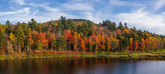 Wall Mural - panoramic view of colorful trees by the river in vermont during autumn time.