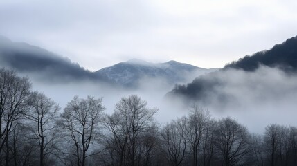 Aufkleber - The image shows a misty mountain landscape, with a thick layer of fog obscuring the hills. The trees in the foreground are bare and skeletal, adding to the overall sense of mystery.