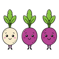 Cartoon turnip. tasty turnip root vegetable. Organic garden turnip flat vector illustration on white background