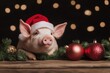 © Andrii - Pig in Santa hat with decorations