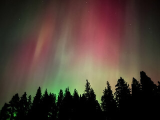 dancing northern lights