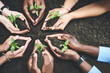 © JordaanExams/peopleimages.com - Soil, hands and seedling for planting, support and development for growth, future and conservation. Sustainability, people and nature for green, ecology and climate change awareness for eco friendly