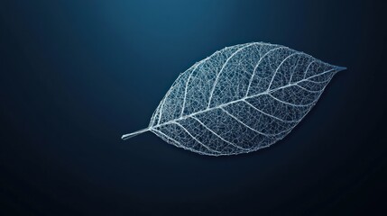 Poster - A translucent leaf design against a dark background, showcasing delicate details.
