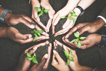 Poster - Business people, hands and soil for ecology in nature, support and help in sustainable environment. Employees, sprout and team with sapling for eco friendly mission, closeup and zero carbon footprint