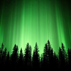 Wall Mural - witness the stunning dance of the northern lights in a serene night sky, showcasing vibrant colors a