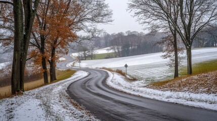 Poster - A winding road cuts through a snowy landscape. Trees line the road, some with their leaves still clinging to the branches.