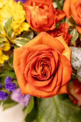 Wall Mural - Full frame macro abstract texture background of an indoor floral arrangement, featuring red and pink roses
