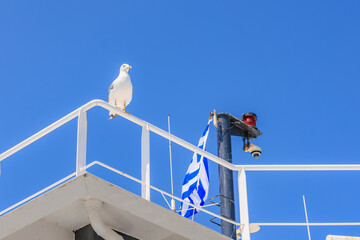 A seagull is perched on a railing next to a flag, travel and tourism in Greece background