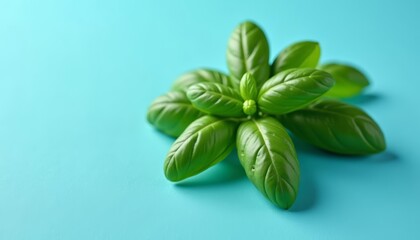 Poster -  Fresh basil leaves ready to add flavor to your dish