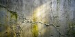 © Triple P - A weathered concrete wall with a network of cracks, revealing the passage of time and exposure to the elements, illuminated by a soft, ethereal glow.