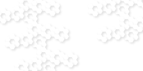 Abstract technology hexagonal background. Illustration of a white background with hexagonal template. White hexagon honeycombs background. Hexa gray Abstract Geometric Wide Banner Design.