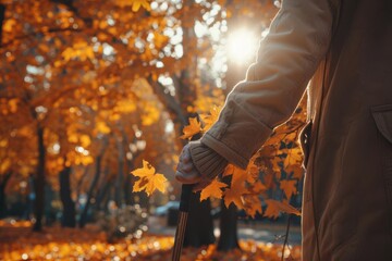 Elderly person alone in park, holding cane, visible pain, autumn leaves, soft focus, distant angle, serene yet sorrowful, golden hour glow