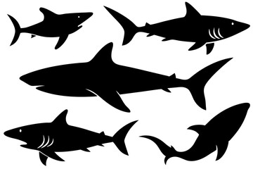 Shark silhouette vector illustration.