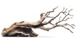 © idealxone - Driftwood Branch Against a White Background