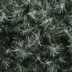 A textured composition of green pine needles and delicate frost, creating a natural and festive atmosphere for holiday-themed designs