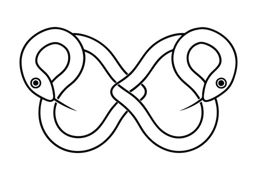 Minimalist Continuous Line Drawing of Intertwined Snakes – Vector Art