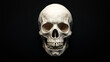 © ekampos - Human skull, isolated, front view with intricate bone details