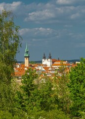 Poster - Mikulov town's historic architecture with lush greenery.