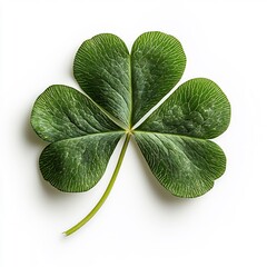 Poster - Beautifully detailed leaf clover isolated on a pristine white background showcasing its vibrant green hues and delicate textures ideal for St Patrick's Day decorations or greetings