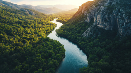 A bird's eye view of a river that flows between a dense forest and mountains