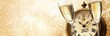 © Zanni - New Years Eve celebration golden banner with champagne glasses and old clock