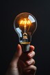 © weerayut - A glowing light bulb held in a hand against a dark background, symbolizing creativity and innovation.