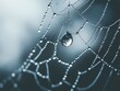 © Thanawin - A dewdrop glistens on a spider web strand, capturing light in serene nature scene.