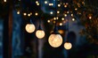© TheoTheWizard - A group of white lights hanging from a tree
