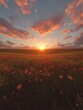 © Espresso - A breathtaking sunset over a field of wildflowers, with vibrant colors illuminating the sky and ground.