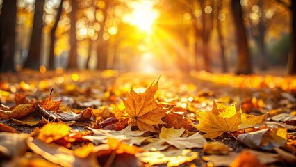 Poster - A Single Golden Leaf Basking in the Warmth of Autumn Sun, a Carpet of Fallen Leaves Spread Across the Forest Floor, Glowing in the Gentle Light