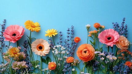 Poster - Fresh spring flowers arranged a solid blue background perfect for a Women's Day card The selective focus and open space at the top create a warm inviting design with room for personalized text