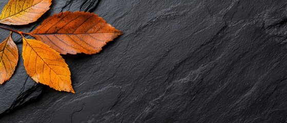 Wall Mural -  A few leaves atop a black stone wall, their hues yellow and orange