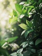 Poster - Lush Green Garden Background with Soft Focus for Eco Friendly Product Mockups
