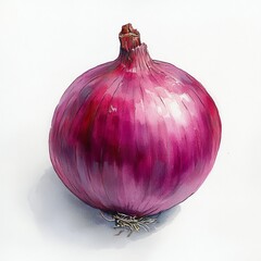 red onion on white background