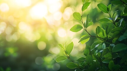 Sticker - Blurred Nature Scene with Green Foliage and Dappled Sunlight for Natural Product Mockups and Organic Backgrounds