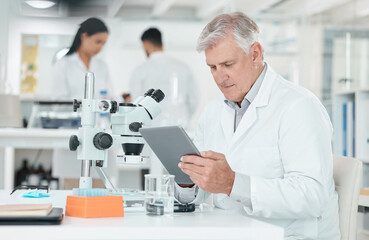 Poster - Mature man, scientist and tablet in laboratory for reading, study and thinking for innovation with microscope. Person, digital touchscreen and review with pharmaceutical development for mpox vaccine