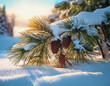© Monica - Balsam evergreen limbs with pinecones in' snow on a sunny winter day AI