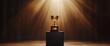 © VINA - A gold trophy on a black pedestal under a spotlight with a brown background.