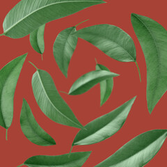 Poster - Green leaves swirling in air on red background