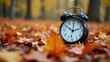 © jamal - Concept, daylight saving time. Sommer time, winter time, changeover, switch of time. Sommer or winter time. Clock as a timer for celebrations. Autumnal forest and leaves.