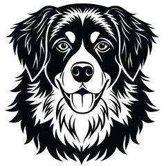 unique Simple and modern 2d vector graphic design illustration of a Bernese Mountain dog in stencil print style