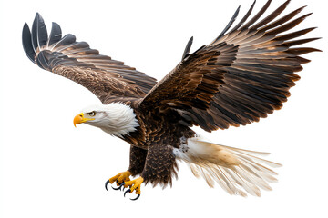 Majestic bald eagle in flight an icon of strength and freedom in nature