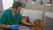 © Krakenimages.com - A veterinarian gives attention to a poodle on a couch in a cozy living room.