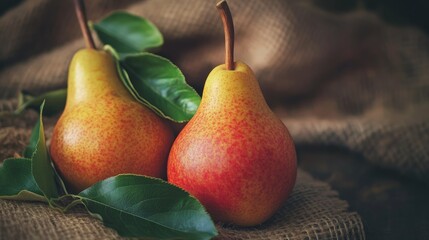 Wall Mural - Two ripe pears with green leaves on a rustic burlap background.