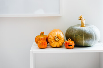 Jack-o'-lantern pumpkins for Halloween on white background. Copy space. White frame